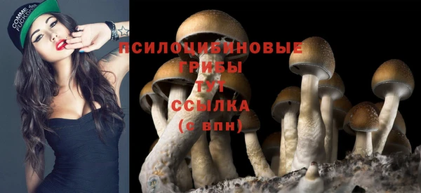 бутик Горно-Алтайск