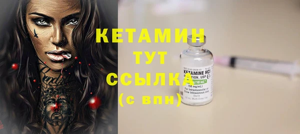 трава Гусиноозёрск