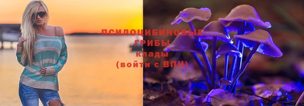 МДПВ Гусев