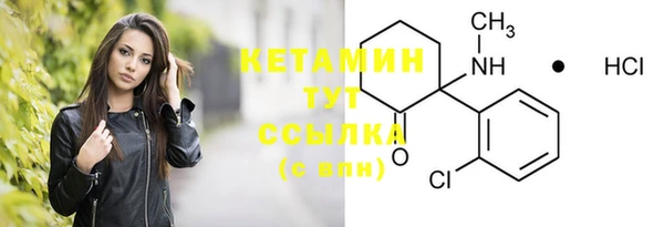 трава Гусиноозёрск