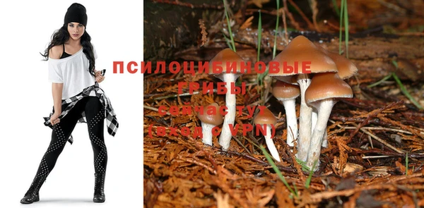 кокаин Горнозаводск