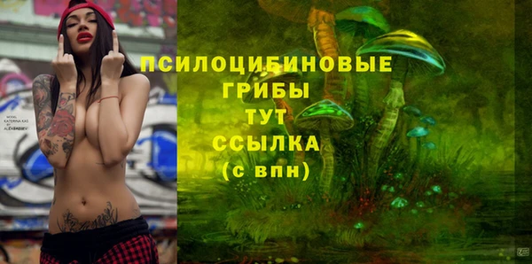 мдпв Гусь-Хрустальный
