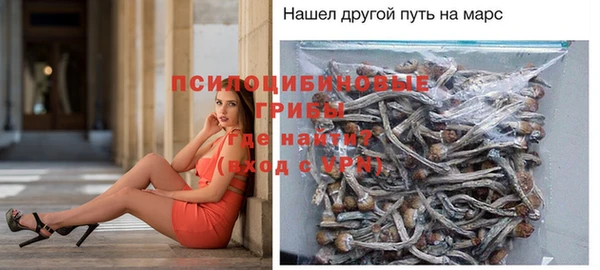 мдпв Гусь-Хрустальный