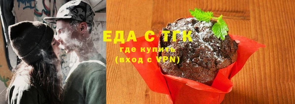 мдпв Гусь-Хрустальный