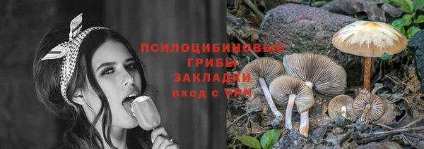 соль курить ск Горняк