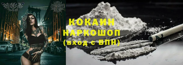 МДПВ Гусев